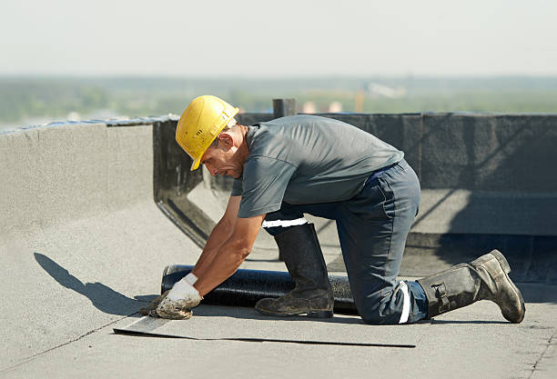 Best Cellulose Insulation  in East Islip, NY